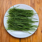 Wheatgrass Cat Grass Microgreens Seeds