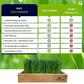 Organic Wheatgrass Growing Kit, Self Watering