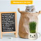 Cat Grass Mug Growing Kit