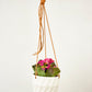 Virago Modern Hanging Planter- Grid