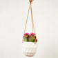 Virago Modern Hanging Planter- Grid