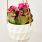 Virago Modern Hanging Planter- Grid
