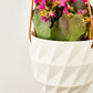 Virago Modern Hanging Planter- Grid