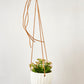Virago Modern Hanging Planter- Waves