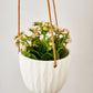 Virago Modern Hanging Planter- Waves