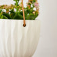 Virago Modern Hanging Planter- Waves