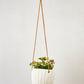 Virago Modern Hanging Planter- Waves