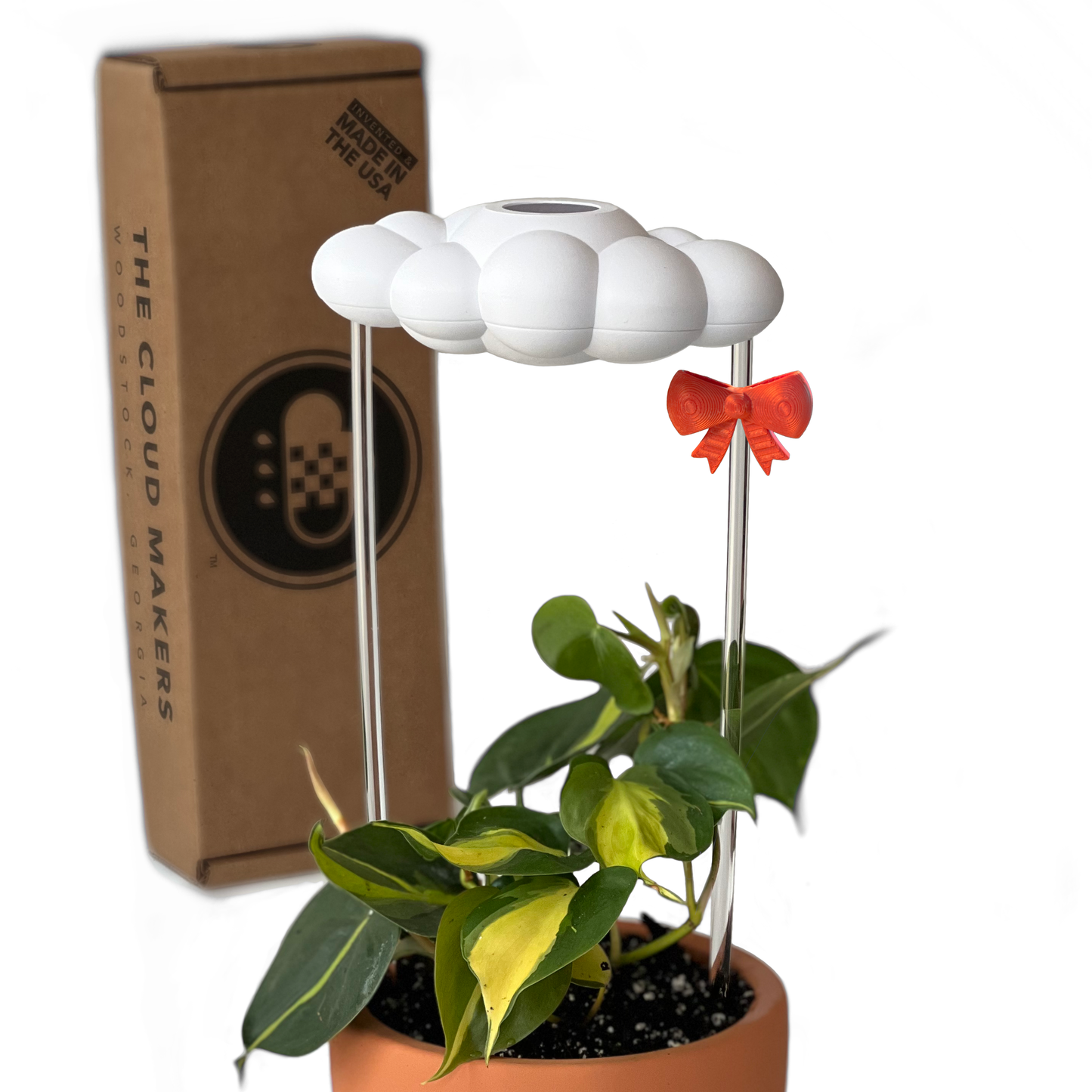 Original Dripping Rain Cloud with Bow Charm