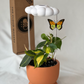 Original Dripping Rain Cloud with Orange Butterfly Charm
