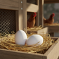 Little Giant Ceramic Nest Eggs 2 Pack Fake Eggs for Chicken Coops, White