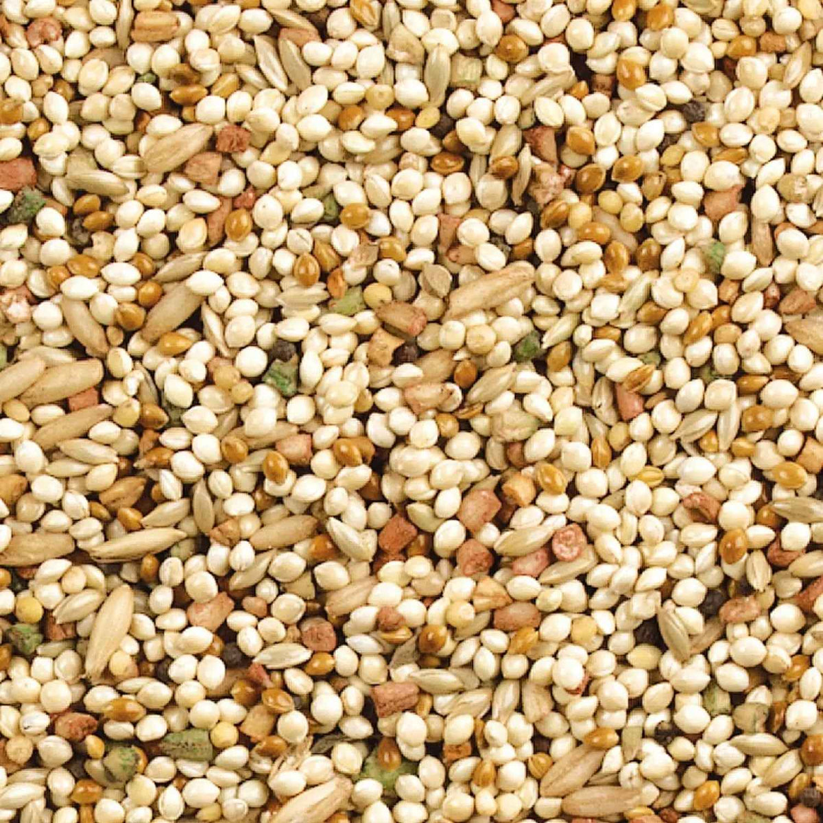 Wild Harvest Daily Blend Bird Food for Parakeet, Canary & Finch