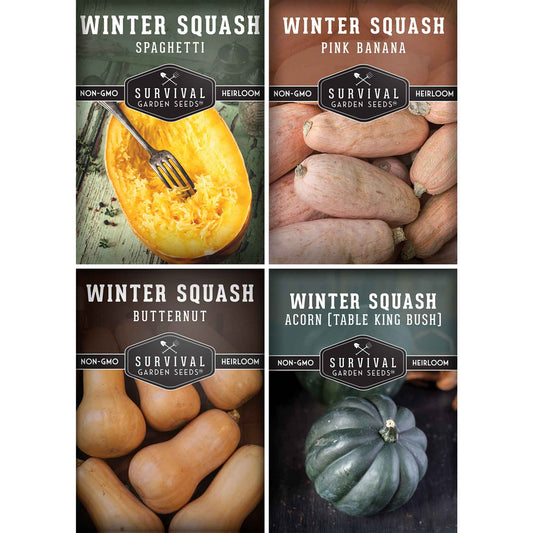 Winter Squash Seed Collection – Acorn, Butternut, Pink Banana & Spaghetti for Long-Storing, Cold-Season Nutrition