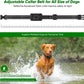 Wireless Dog Fence Training Collar System Rechargeable Waterproof up to 2 Dogs