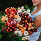 Dried Strawflower: Assorted 4oz Bunch