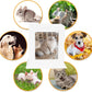 Wooden Pet Memorial Urn with Photo Frame Keepsake Box for Dogs & Cats