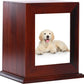 Wooden Pet Memorial Urn with Photo Frame Keepsake Box for Dogs & Cats