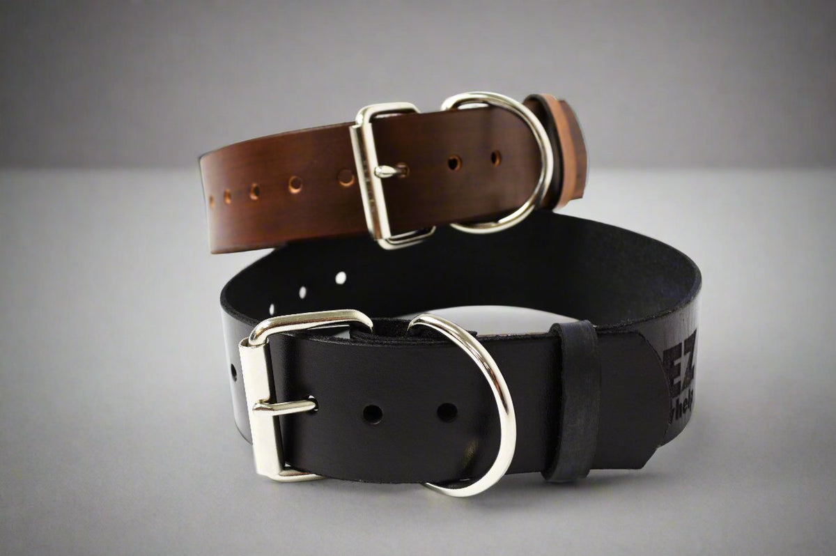 Collar de perro de cuero