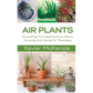 Air Plants: Everything You Need to Know About Growing, and Caring for Tillandsias