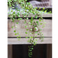 Hanging Faux Mini Leaf Garland 27.5" Long