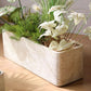 Modern Rectangular Textured Planter