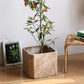 StoneGrain Square Planter
