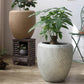 Comtemporary Swirl Planter