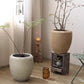 Comtemporary Swirl Planter