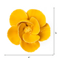 Ceramic Small Yellow Poppy Flower