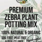 Zebra Plant Premium Potting Mix