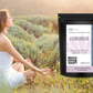 Beach Wellness: Zen