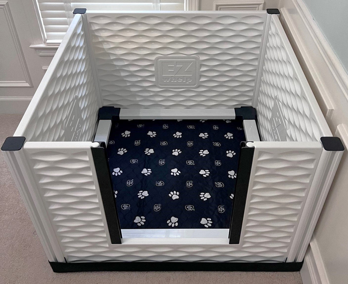 Caja de parto alta EZclassic con rieles
