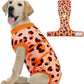 Dog Recovery Onesie Suit After Surgery – 4 Colors, XS–2XL