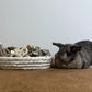 Rabbit Chew Toys 31PCS Natural Small Pet Toys Teeth Grinding Set