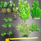 Premium Artificial Aquarium Plant Package for Fish Tank, REALISTIC
