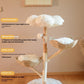 Natural Fruit Tree Cat Climbing Frame Solid Wood Rattan Cat Nest Cat Tree
