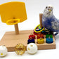 Engaging Bird Toys for Budgies and Parrots