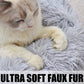 Cat Bed for Indoor Cats and small dogs