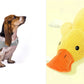 Anxiety Jacket Vest Summer Medical Treatment To Calm Down Cat Clothes Dog Comfort Clothes