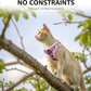 Cat Harness and Leash Set Escape Proof Reflective Mesh Vest