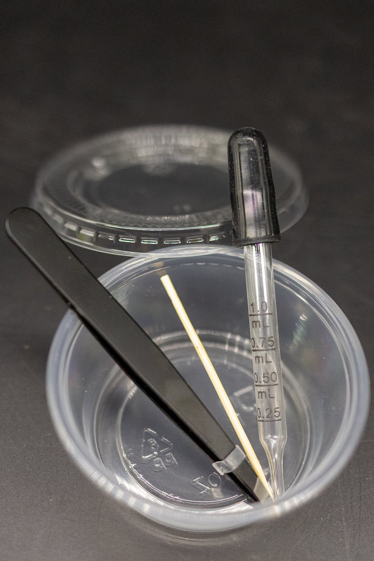 Venus Flytrap Bloodworm Feeding Kit + Other Carnivorous Plants
