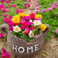 Baby's Breath, Sunflower, Cosmos, Daisy Four-season Seeds