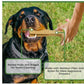 SPOT Bam-Bones plus T Bone - Bamboo Fiber & Nylon, Durable Long Lasting Dog Chew