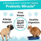 Dog Probiotics Powder 360 Scoops Digestive Enzyme Diarrhea Relief Immune
