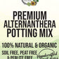 Party Time Alternanthera Premium Potting Mix