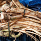 25 AMERICAN GINSENG Panax Quinquefolius Shade Herb Seeds