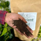 Ancient Soil Organic Living Soil