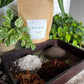 Ancient Soil Organic Living Soil