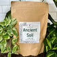 Ancient Soil Organic Living Soil