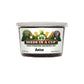 Anise Grow Kit | Grow Fresh Anise from Seed | Seeds In A Cup®