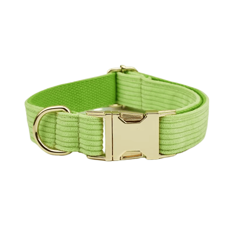 Apple Green Corduroy Set